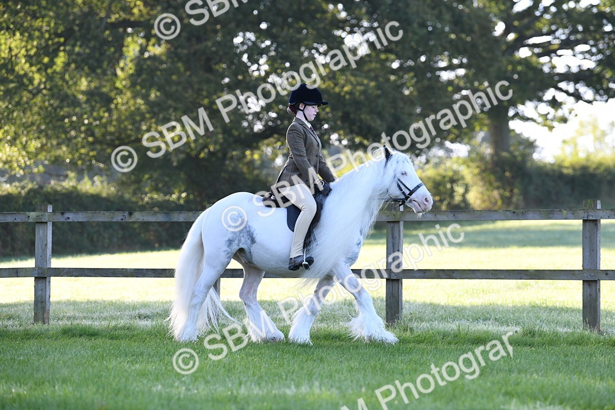 SBM_33907 - S16 - Condition & Turnout - Ridden