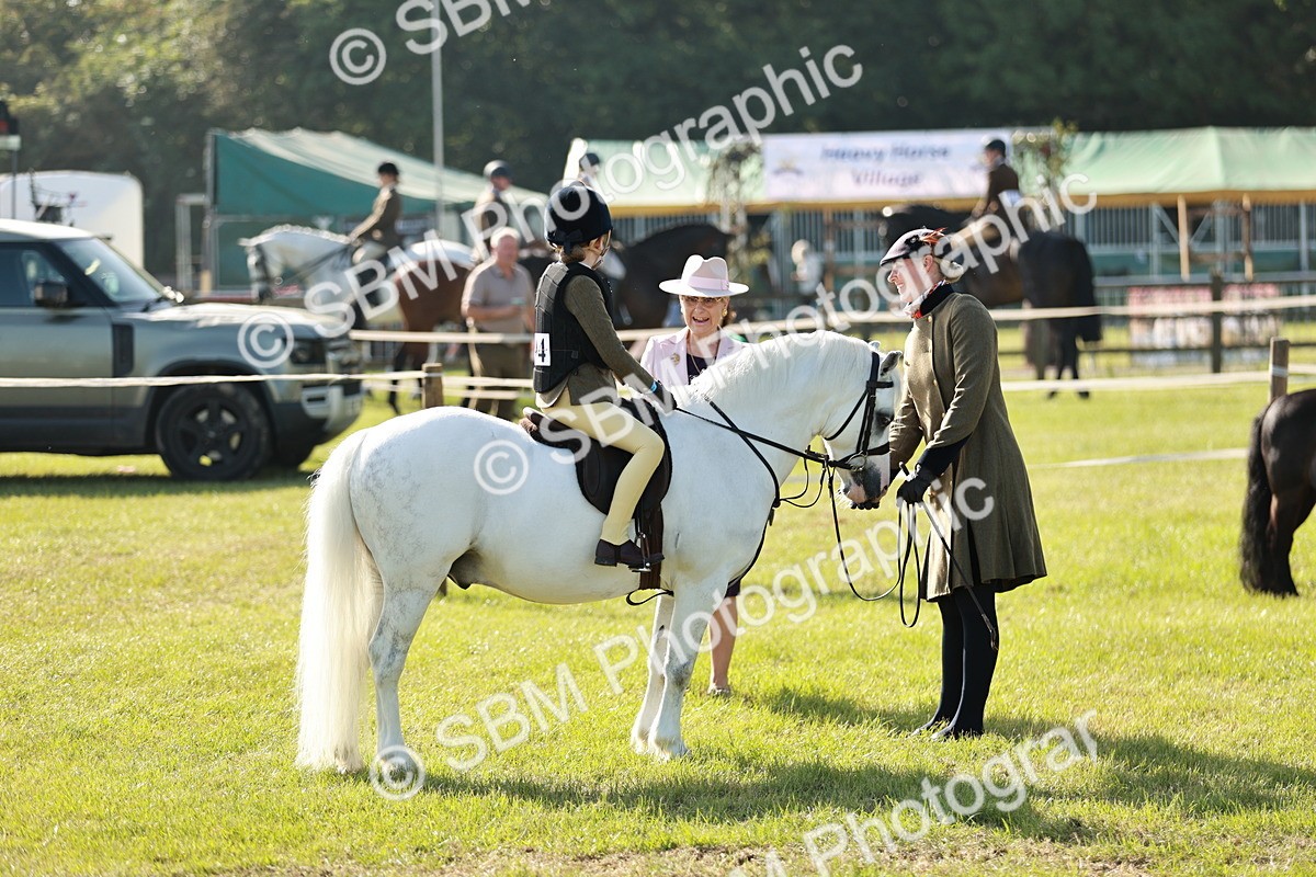 SBM_11250 - Class 106-107 - BSPS LIHS Working Sports Pony