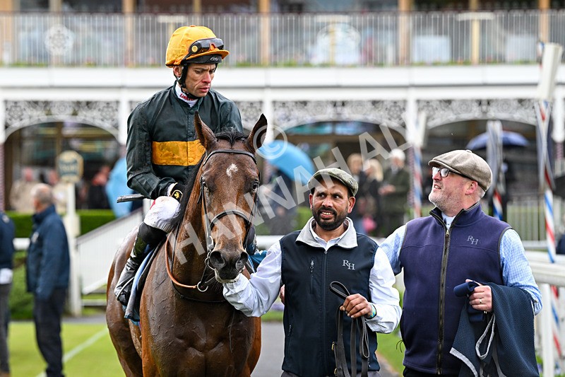 130526-Race 1-Cut A Dash-2044 - Race 1 1.45pm British Stallion Studs EBF Novice Stakes