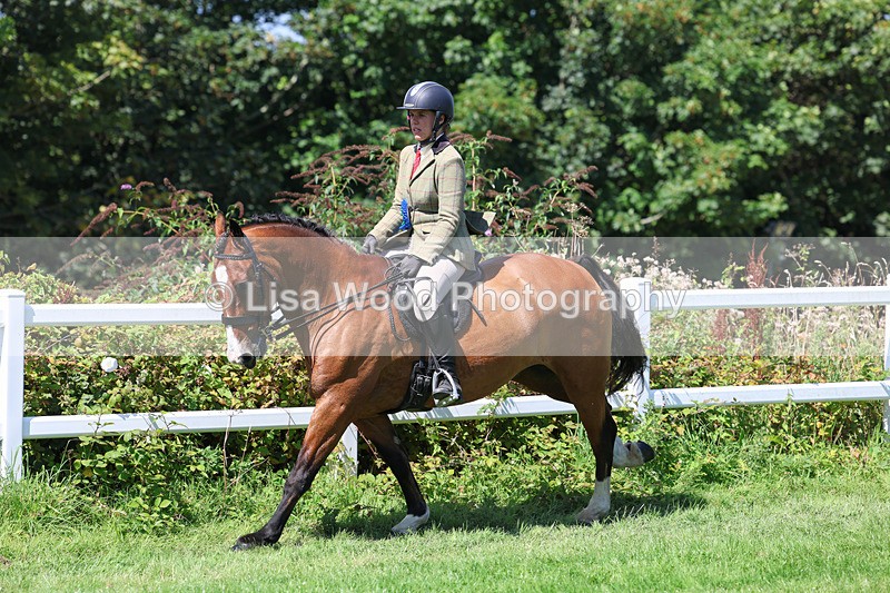 3E7A9236 - Working Hunter Championship