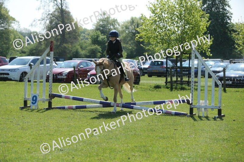 20250427-1952 - Class 2 - Mini Jumping 30cm