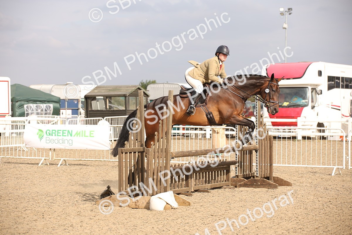 SBM_17290 - Class 410a - Wor5king Veteran 90cm (15-19)