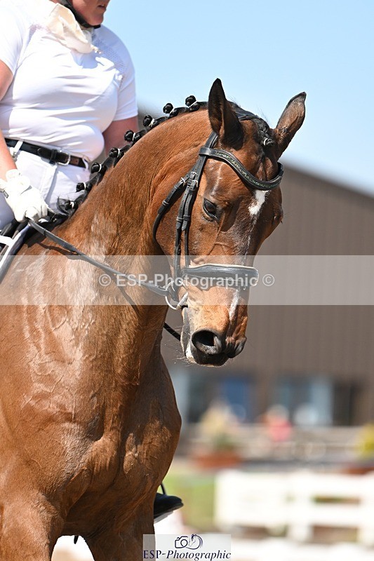 250620-155307-04447 - BD Cls 10 - Medium 5, 15.20 to End