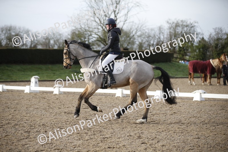 20260127-0359 - Class 16 - BD Novice 2