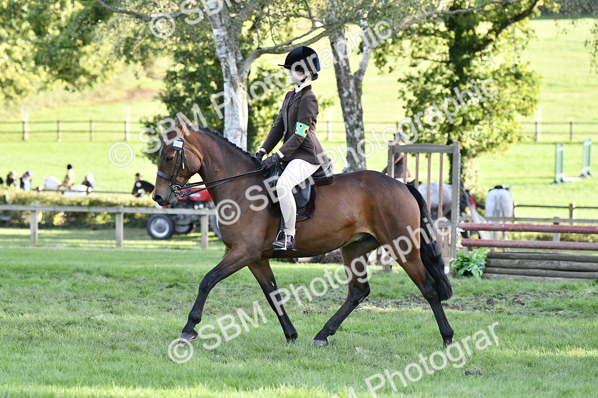 SBM_53511 - S14 - Riding Club Horse