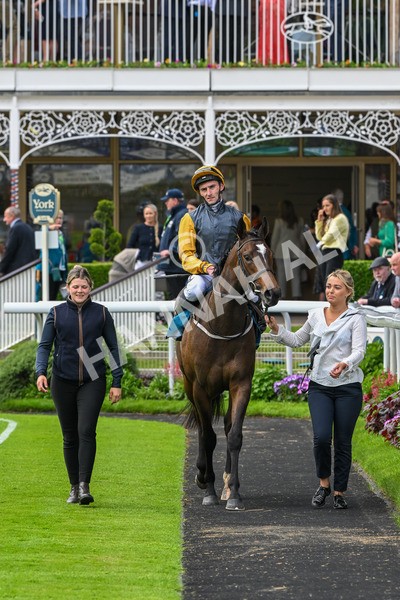 150524-Race 6-Shadow Army-4609 - Race 6 4.45pm British Stallion Studs EBF Novice Stakes
