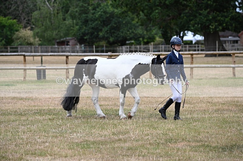 WJ6_4569 - Class 10 Coloured In-hand
