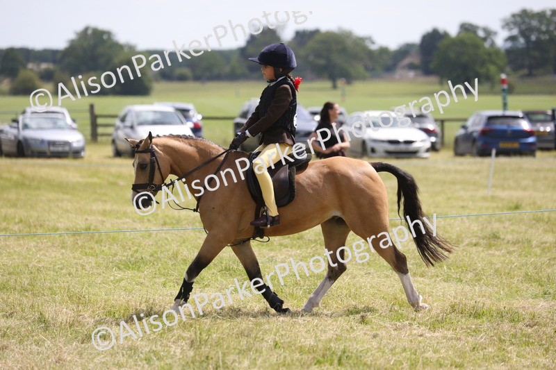 20260614-1905 - Class 21 - Novice Working Hunter Pony