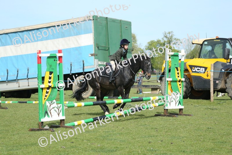 20260426-1481 - Class 14 - Novice 60cm