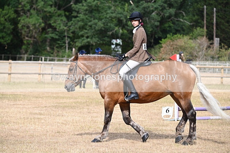 WJ6_7474 - Class 9 Tack and Turnout