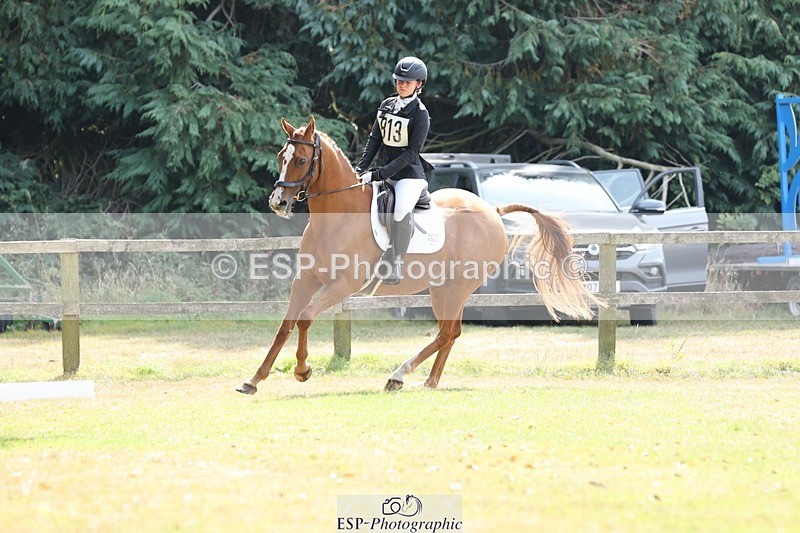 250823A-135659-31412 - Arena D