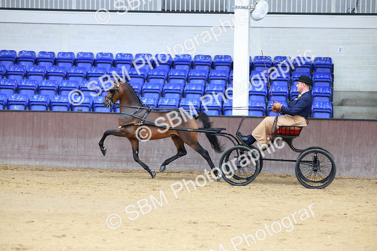SBM_000654 - Class 9 - HHS Championship Intl Hackney Pony to a Showwagon