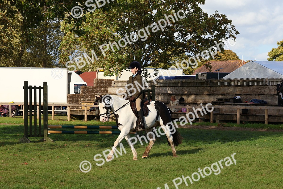 SBM_52582 - S13 - Pony Club Pony