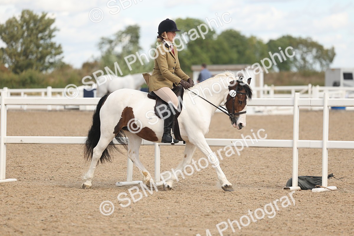 SBM_14631 - Class 307 - Ridden Coloured Pony
