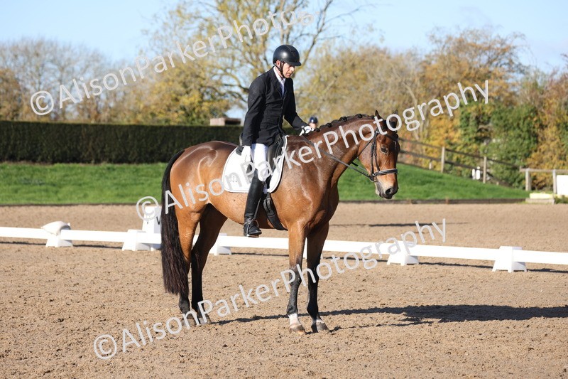 20251102-0486 - Class 3 - Novice 5