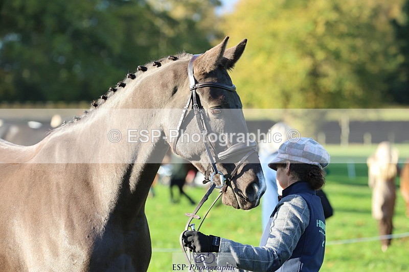 251026A-093828-22390 - D-317-Kate.Jupp