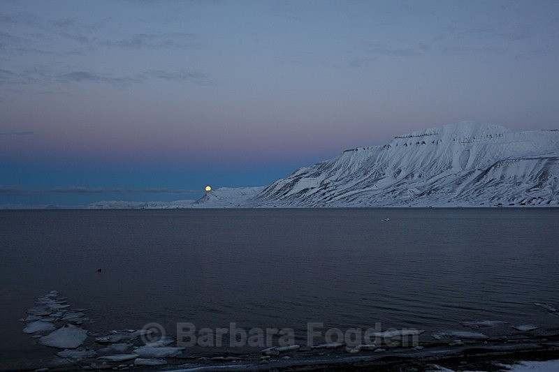 Adventfjorden 4963 - The daylight returns