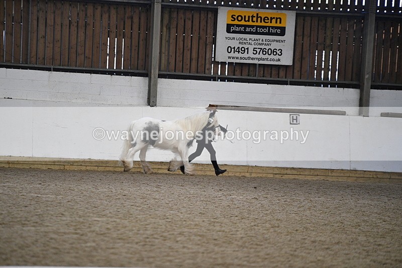 WJ5_5265 - Class 8 In hand cob