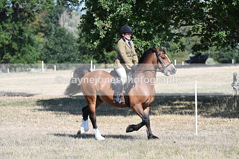 WJ7_3736 - Class 9 Mountain & Moorland Ridden