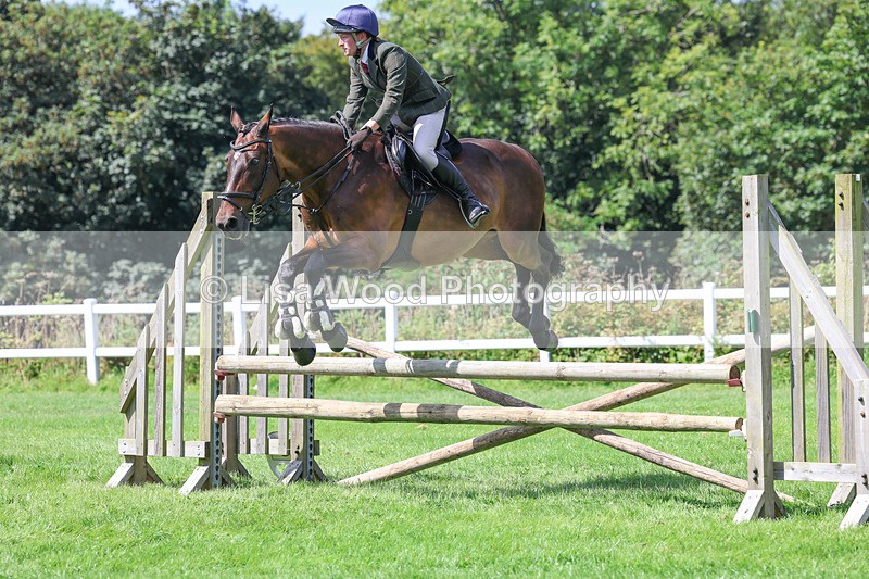 3E7A8908 - Class 6: Open Working Horse