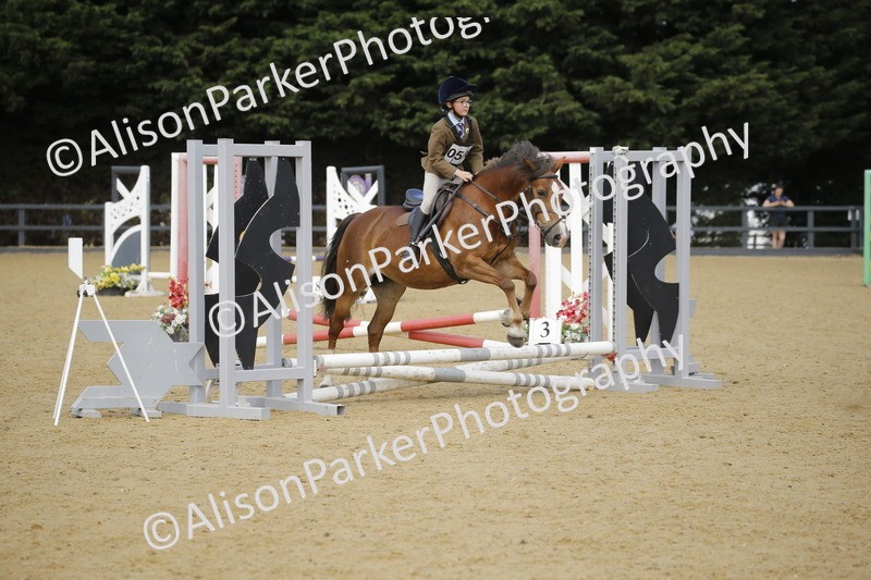 20250622-1594 - 40cm