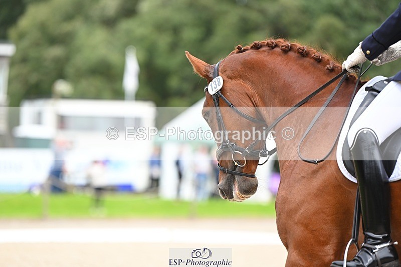 230813-135445-07642 - Cls 13 Medium Bronze 13.15 to End