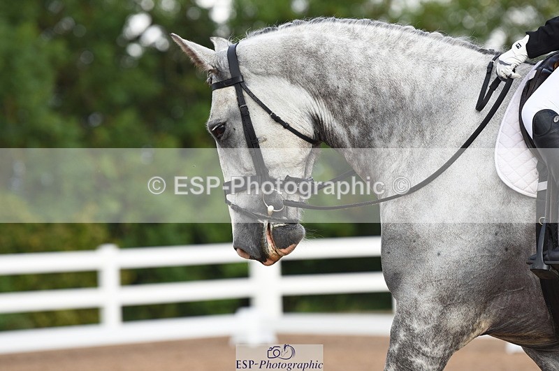 230912A-100850-00254 - Cls 2 Prelim 19