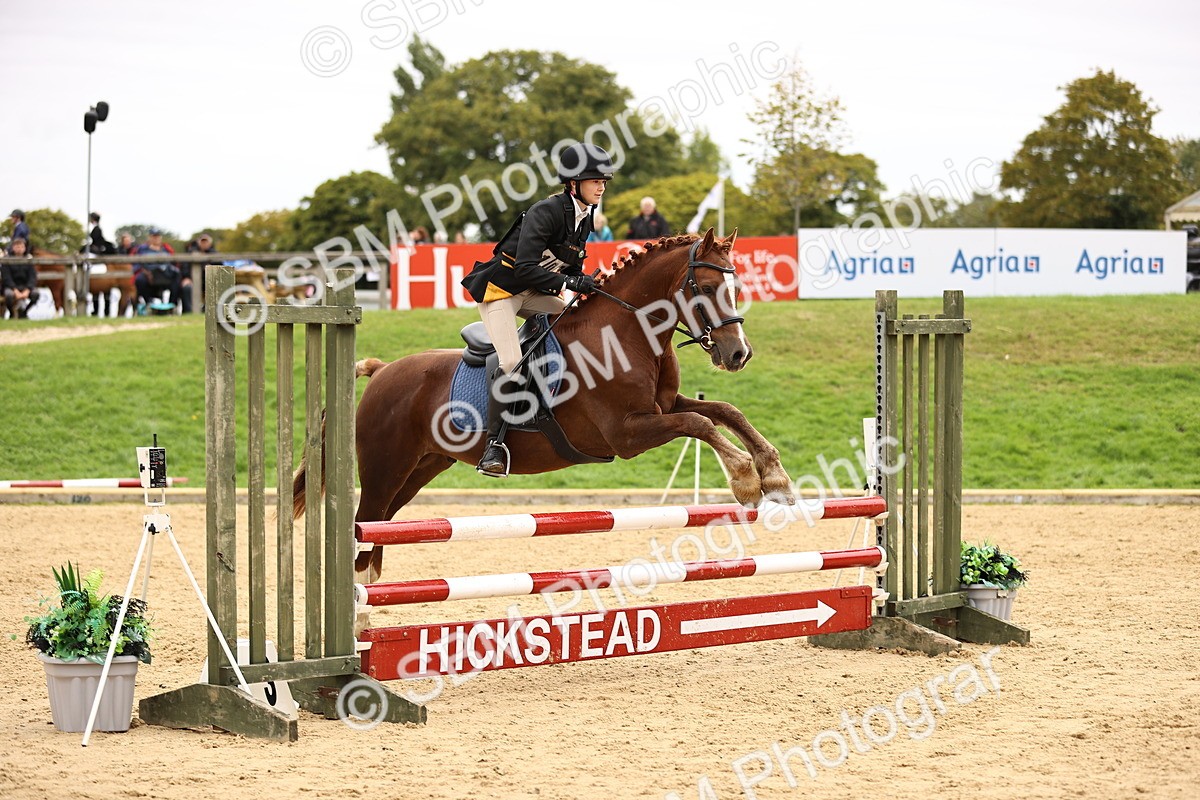 SBM_66441 - J17 - Junior Pony 80cm Championship