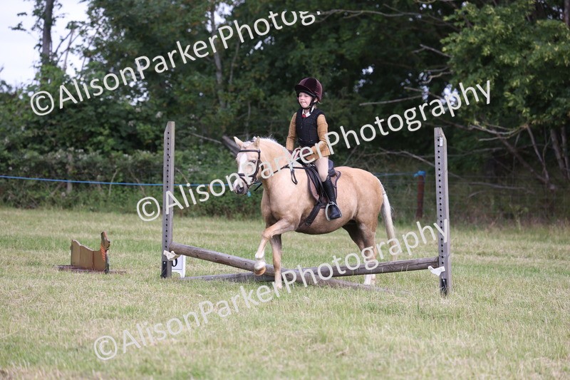 20260614-0453 - Class 20 - Beginners Working Hunter Pony