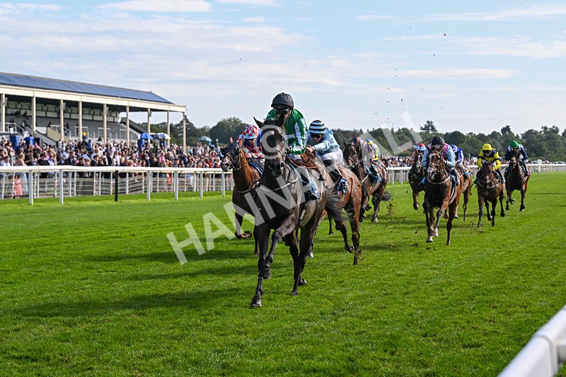 060926-Race 4-Stoneacre Donny-8035 - Race 4 3.15pm Saltmoore Collection Handicap