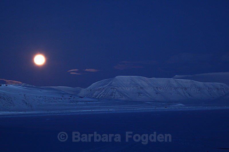 Night in Templefjorden 0336 - The daylight returns
