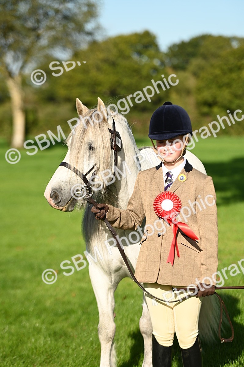 SBM_15799 - S1 - TSR in Hand Horse & Pony Showing