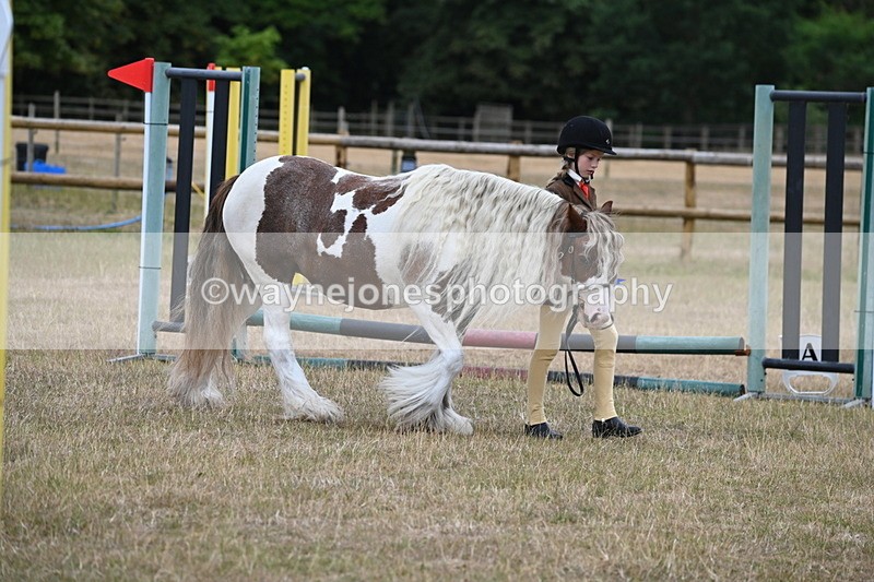 WJ6_8558 - Class 10 Coloured in Hand