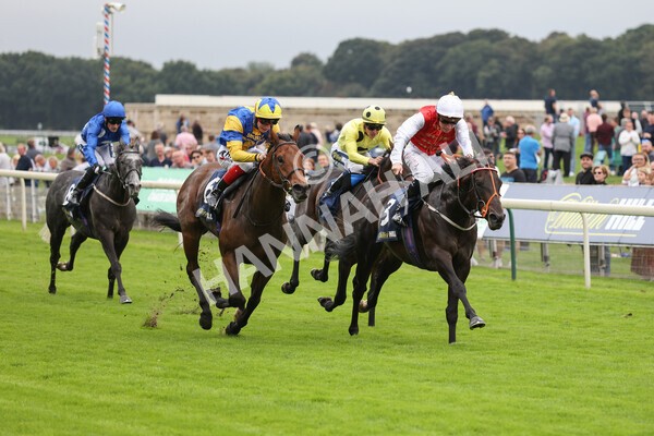 yr24092021r2-18 - Race 2 2.05pm William Hill Extra Places Races Stakes