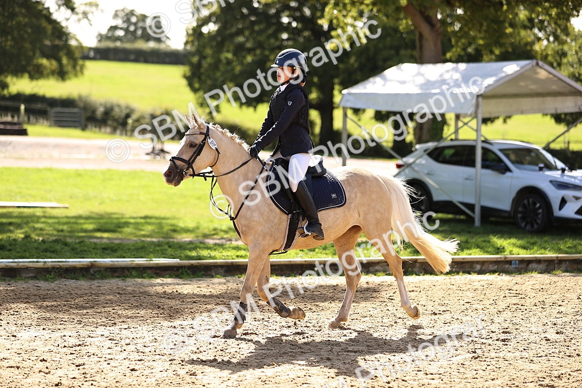 SBM_46079 - J9 - Junior Pony 70cm Championship