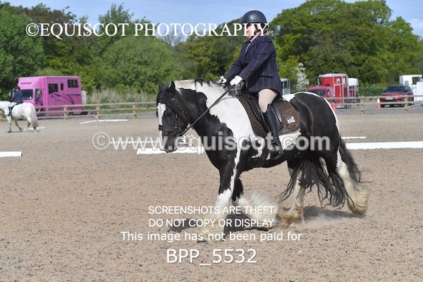 BPP_5532 - 4 L DENHOLM