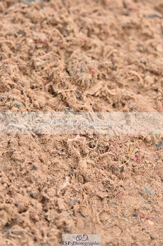 231028A-140600-01823 - Cls 5 Foxhunter & 1.10m Open