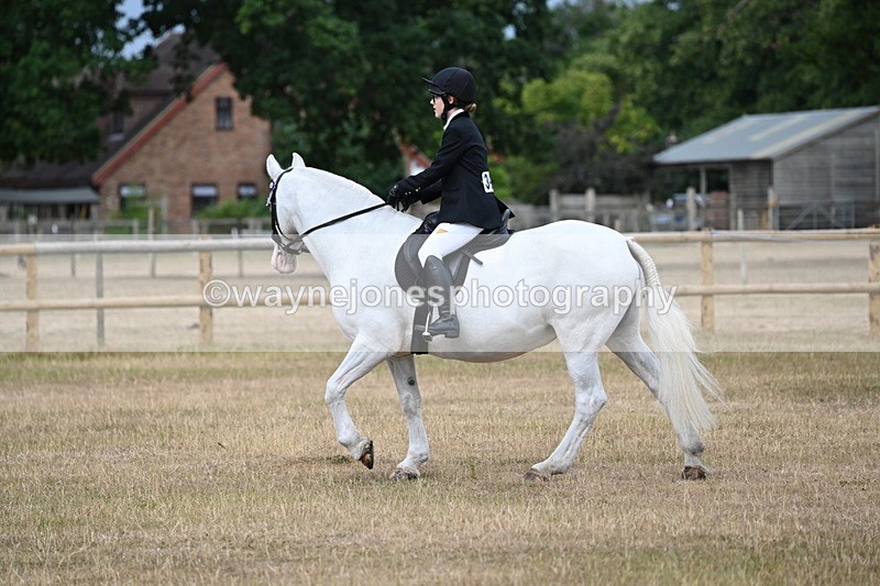 WJ6_7383 - Class 9 Tack and Turnout