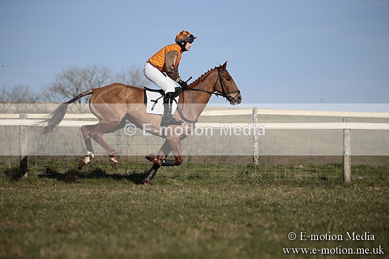 PtP 240218 467 - Vine & Craven Hunt Point-to-Point Barbury racecourse 24/02/18