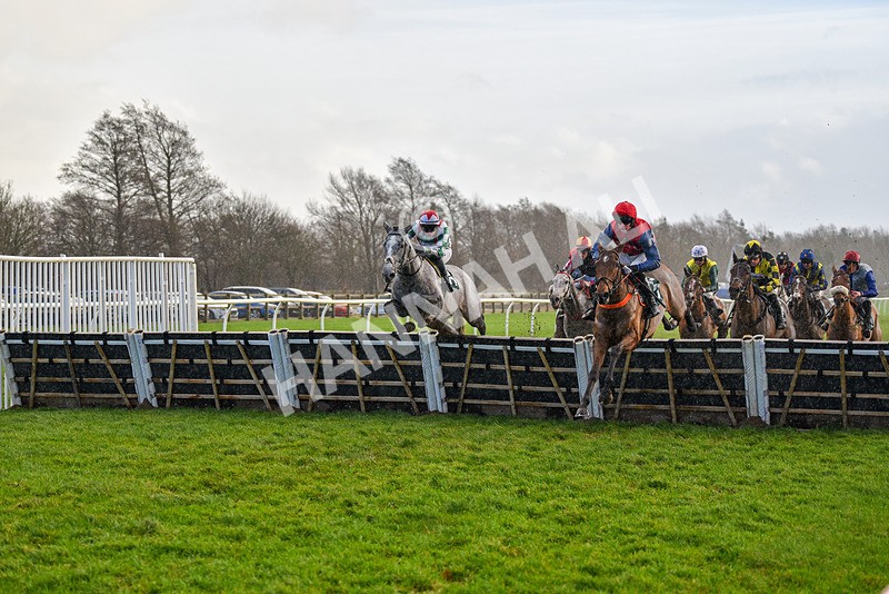 281223-Race 4-Lavida Adiva-2-3 - Race 4