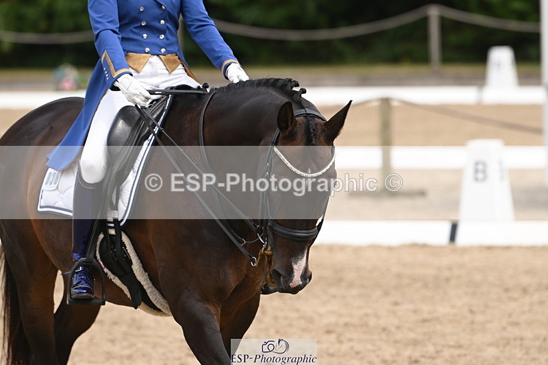 250719A-140510-05886 - 038-Natasha.Collings-Costello-Dovevale.Tender.Dove