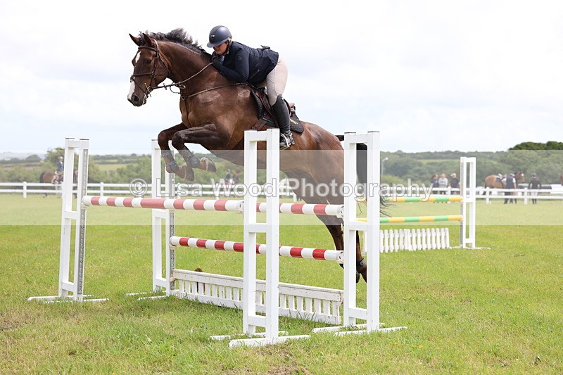 3E7A7084 - Class 12: Senior Foxhunter/1.20 open