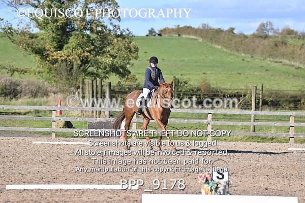 BPP_9178 - SHORT ARENA