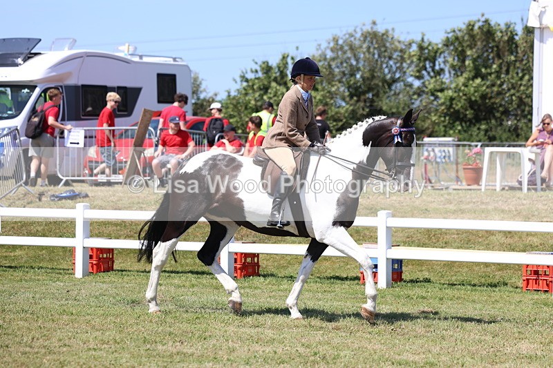 3E7A7683 - Class 7: Open Riding Horse