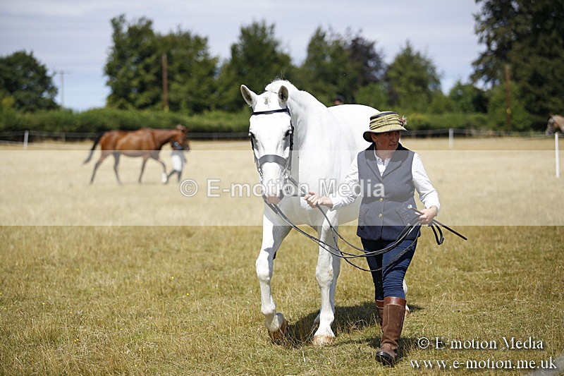 _C7A9697 - BVRC Sow 2018 Ring 2