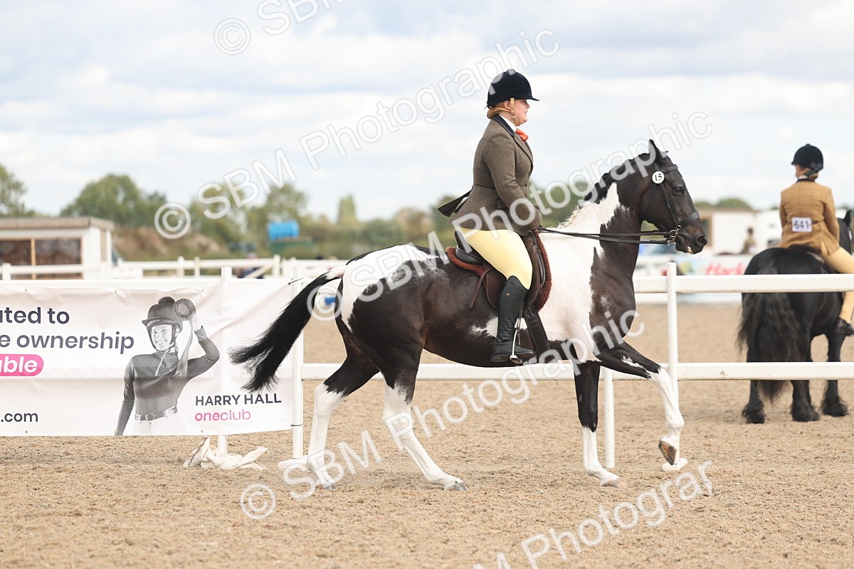 SBM_14735 - Class 308 - Ridden Coloured Horse