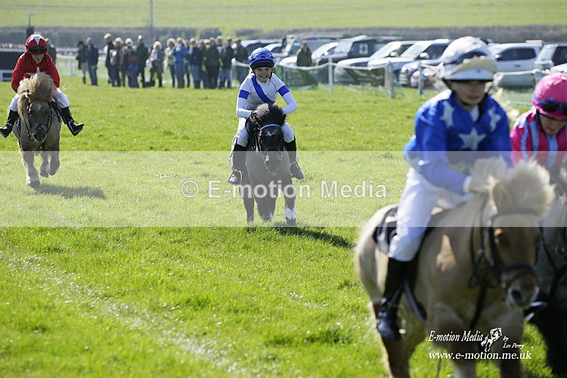 PtP 190322 19 - Wilton Hunt PtP Milborne St Andrew 19/03/22