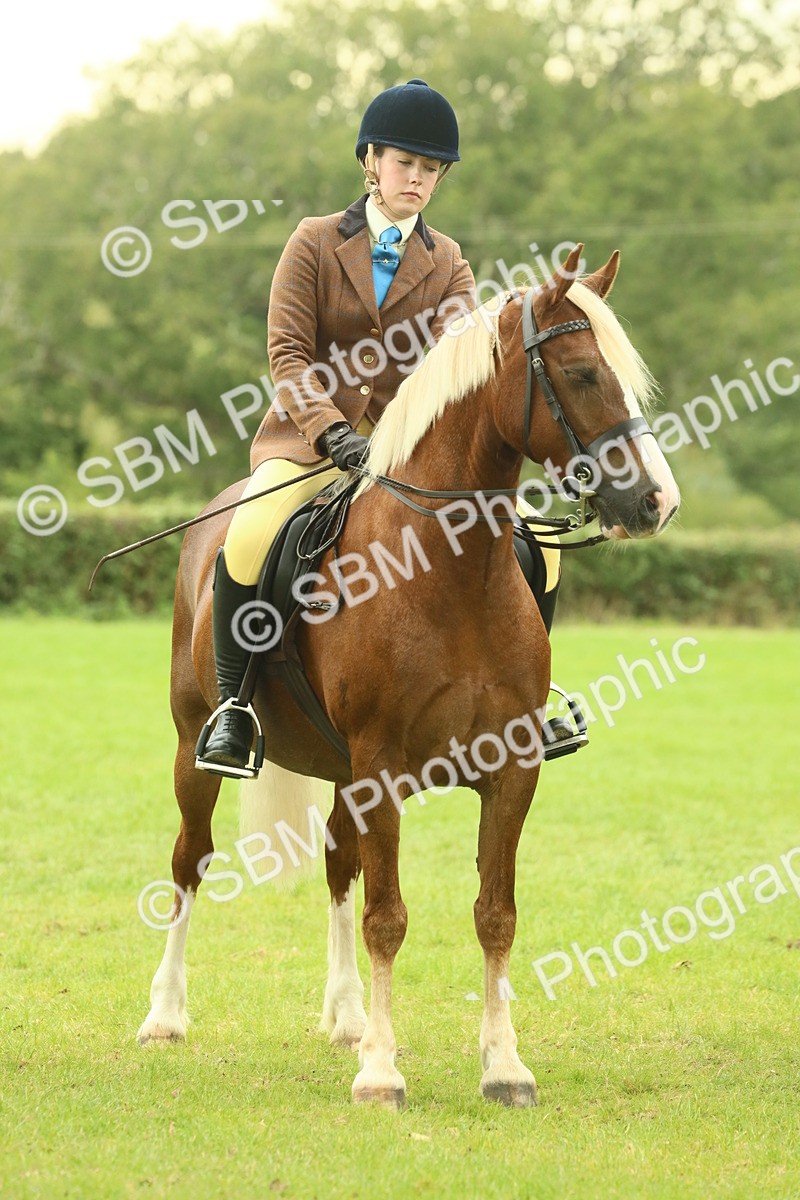 SBM_72213 - S60 - Mountain & Moorland Ridden Large Breeds
