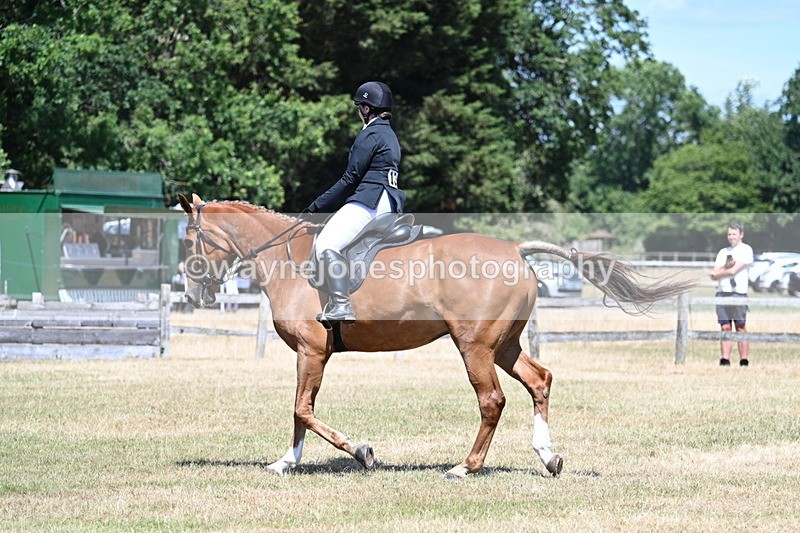 WJ7_2907 - Class 7 Riding Club Show Horse