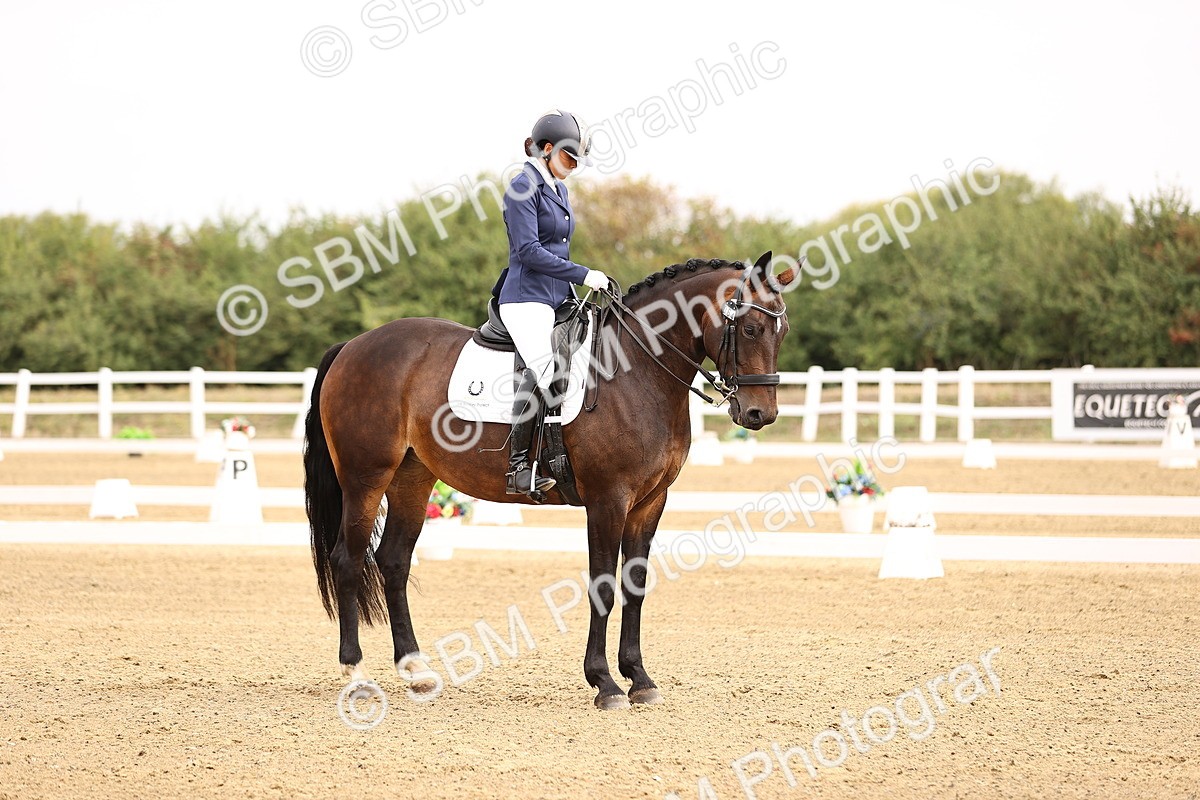 SBM_011596 - Class 1 - Medium 5